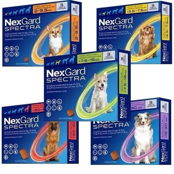 Nexgard Spectra viên nhai trị bọ chét, ve, giun , ghẻ cho cún 15-30kg
