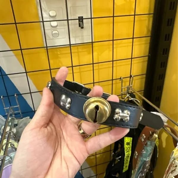 Vòng cổ da xương có chuông