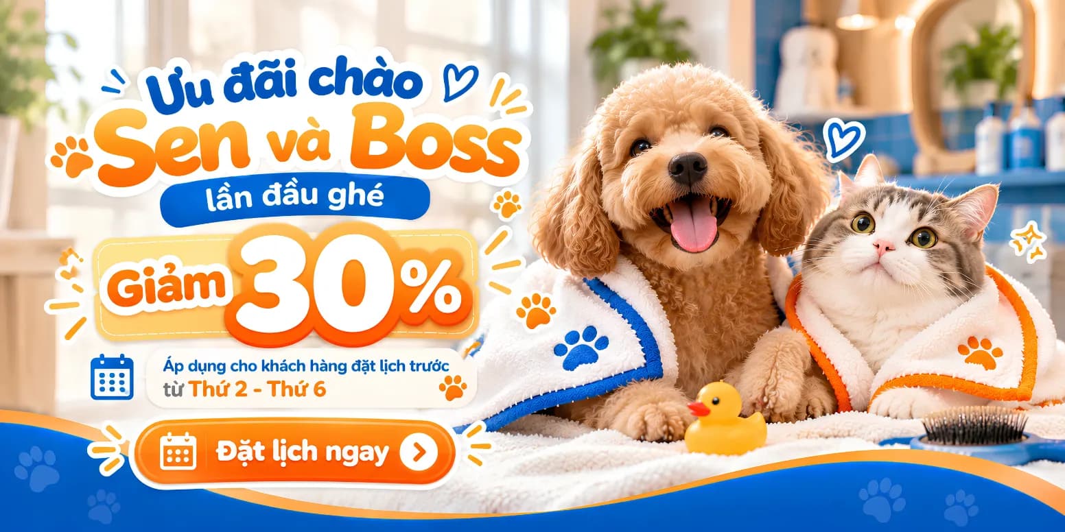 banner-petstore