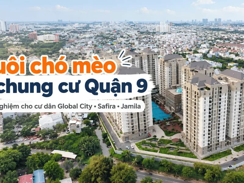 Nuôi chó mèo ở chung cư Quận