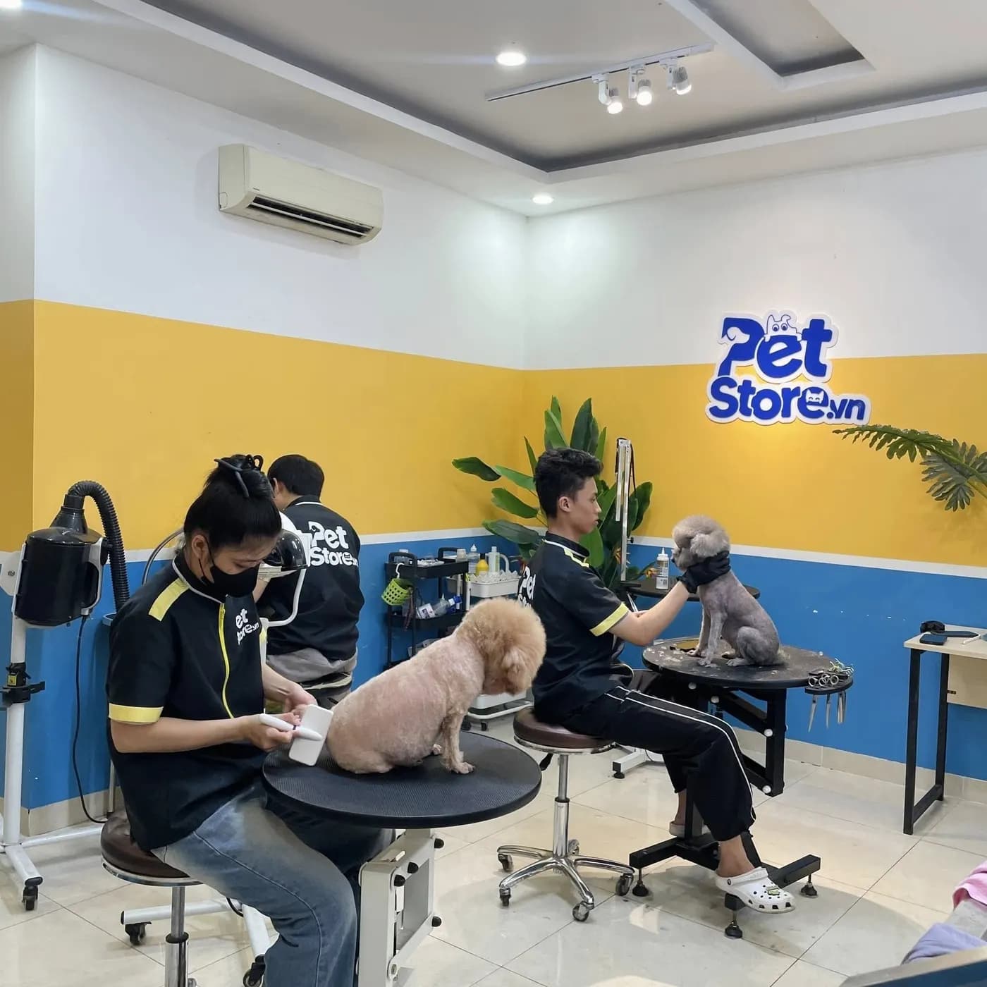 Phòng grooming PetStore.vn với bàn cắt và lồng sấy
