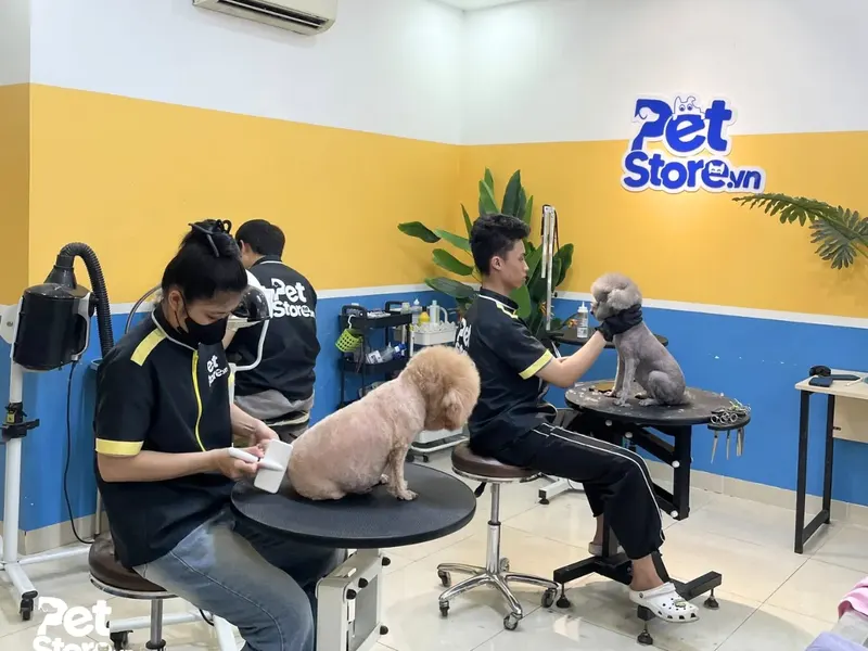 Phòng grooming PetStore.vn và đội ngũ groomer